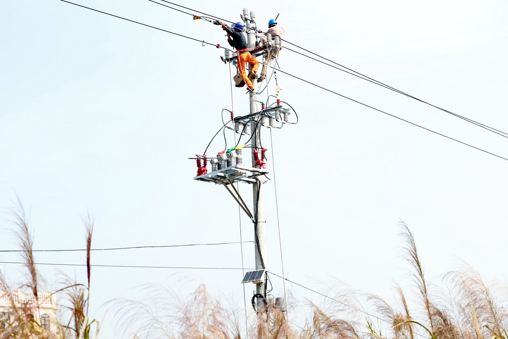 國網莆田供電公司升級改造線路 為鄉(xiāng)村振興“充足電”