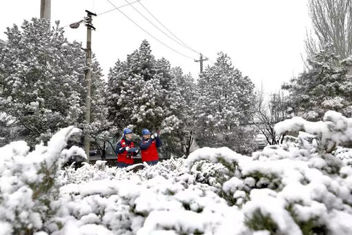 春雪紛飛 保障供電