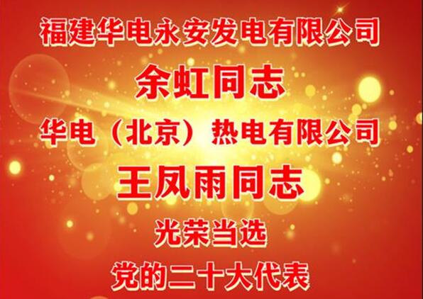 中國華電余虹、王鳳雨同志當(dāng)選黨的二十大代表