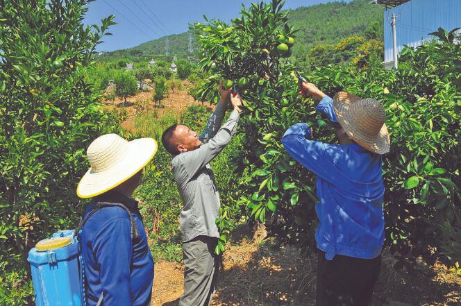 王國洲：把村事當家事，把村民當親人