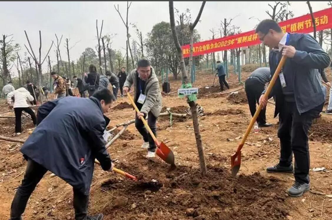 湖北省電力企業(yè)聯合會舉辦“聚樹成林·聚合希望”植樹活動