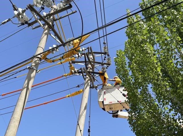 帶電作業(yè)除隱患，安全供電有保障