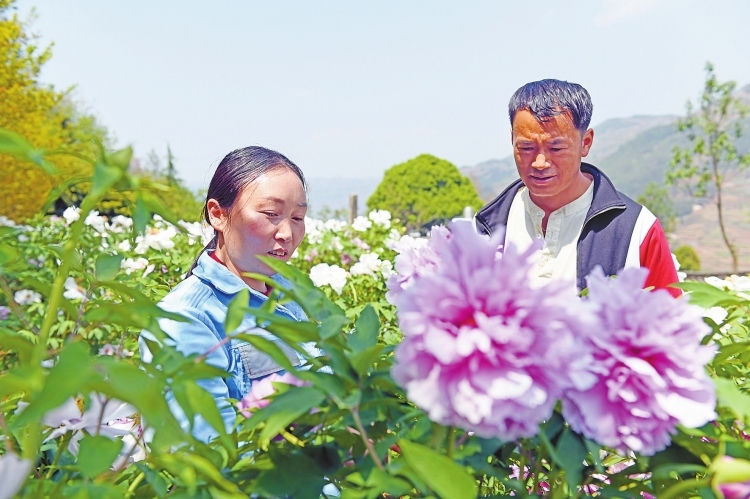 項利萍：七年駐村路 哭過笑過從沒放棄過