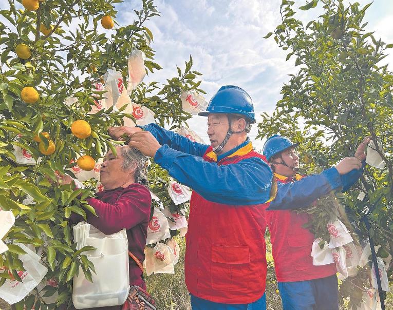 四川省西充縣：供電保障進鄉(xiāng)村 生態(tài)產業(yè)更紅火